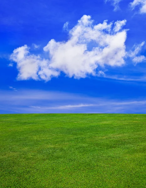 Hierba y cielo nublado — Foto de Stock