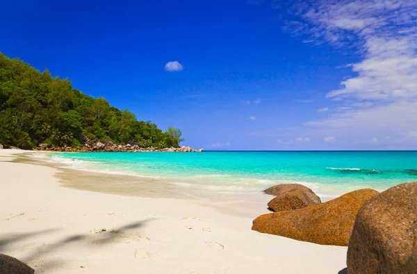 Tropisch strand op het eiland praslin, Seychellen — Stockfoto