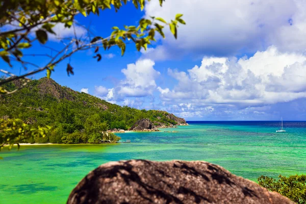 Tropisch eiland curieuse in Seychellen — Stockfoto