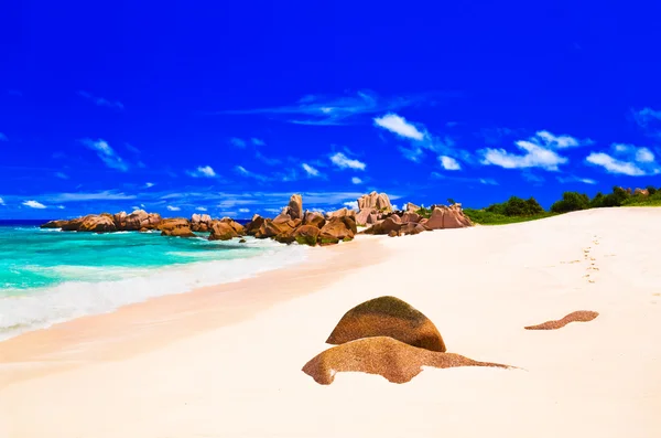 Tropical beach at Seychelles — Stock Photo, Image