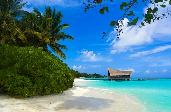 Dykning klubb på en tropisk ö — Stockfoto