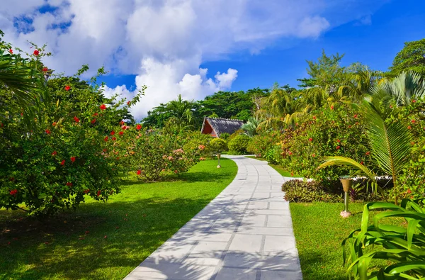 Pathway in tropical park — Stock Photo, Image