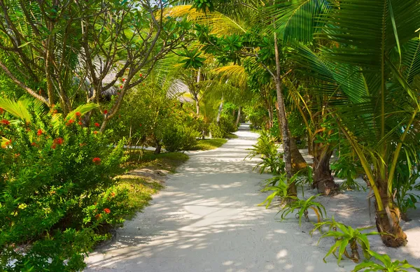 Bungalows on beach and sand pathway — Stock Photo, Image