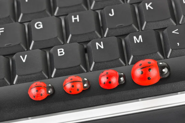 Jouet ladybirds sur le clavier de l'ordinateur — Photo