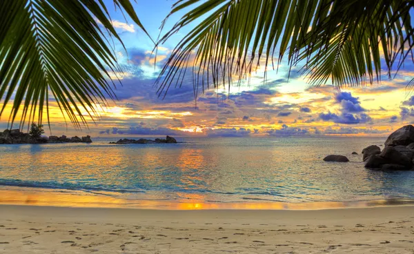 Praia tropical ao pôr do sol Fotografias De Stock Royalty-Free