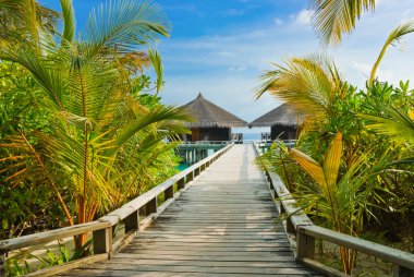 Water bungalows on a tropical island at evening clipart