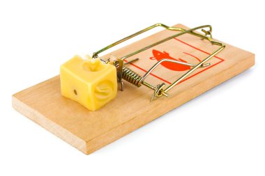 Mousetrap and cheese clipart