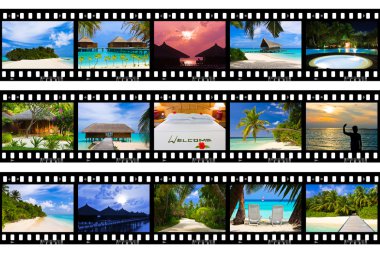 Frames of film - nature and travel (my photos) clipart