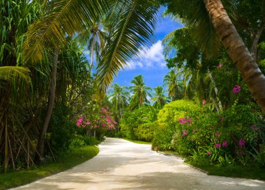 Pathway in tropical park clipart