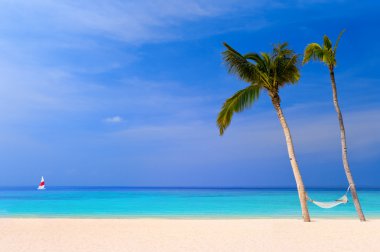 Hammock on a tropical beach clipart