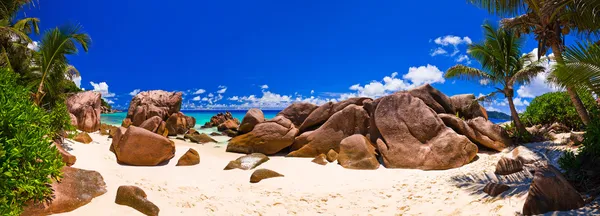 Panorama de praia tropical — Fotografia de Stock