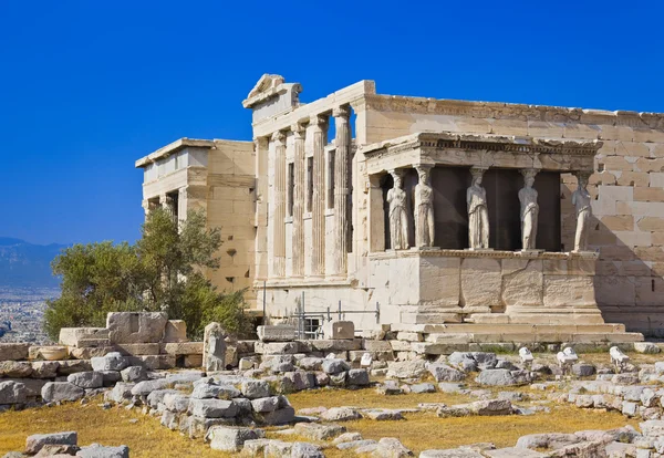 stock image Erechtheum temple in Acropolis at Athens, Greece