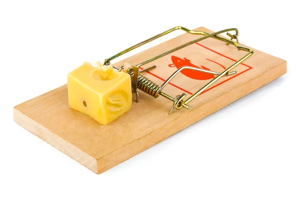 Mousetrap et fromage — Photo