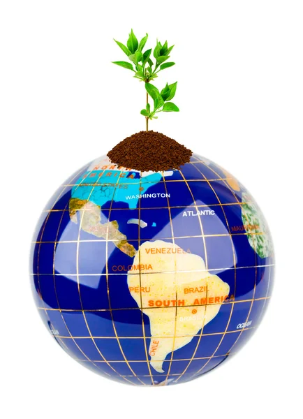 Globus und Pflanze — Stockfoto