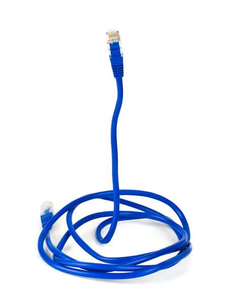Cable de computadora como una serpiente - concepto de seguridad en Internet — Foto de Stock
