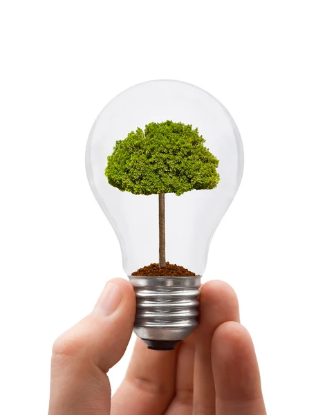 stock image Hand with lamp and tree