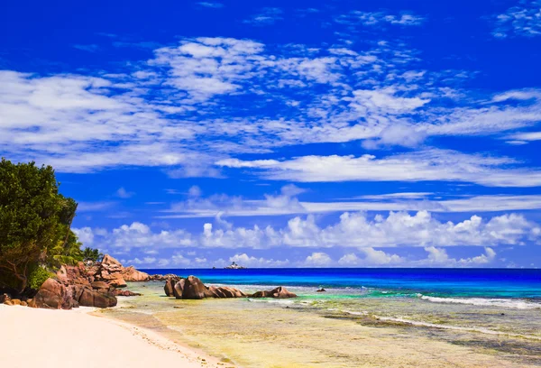 Praia tropical nas seicheles — Fotografia de Stock