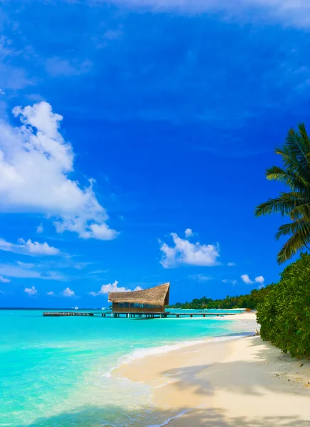 Dykkeklubb på en tropisk øy – stockfoto