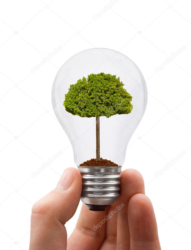 Hand with lamp and tree