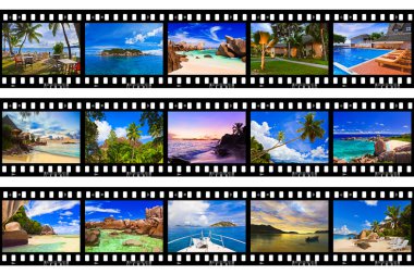 Frames of film - nature and travel (my photos) clipart