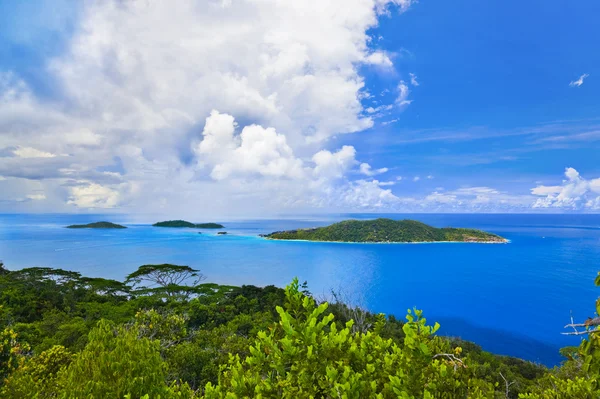 Eiland Oceaan Seychellen Natuur Achtergrond — Stockfoto