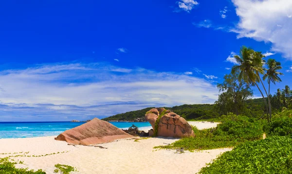 Trópusi Strand Seychelles Természet Háttér — Stock Fotó
