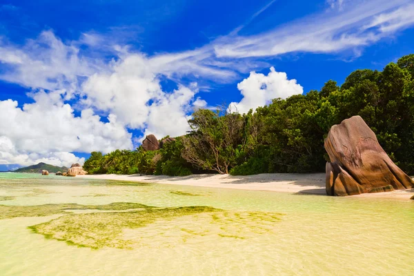 Beach Source Argent Seychelles Fondo Naturaleza — Foto de Stock