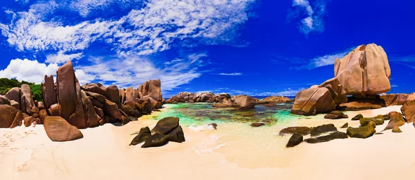 Panoráma Trópusi Strandon Seychelles Természet Háttér — Stock Fotó