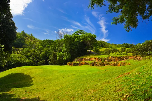 Golfkenttä saarella Praslin, Seychellit — kuvapankkivalokuva