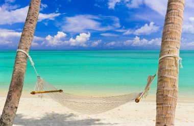 Hammock on a tropical beach - vacation background clipart