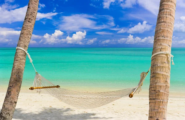 Hamaca Una Playa Tropical Fondo Vacaciones — Foto de Stock