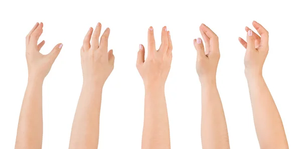 Πέντε Χέρια Που Απομονώνονται Λευκό Φόντο — Φωτογραφία Αρχείου