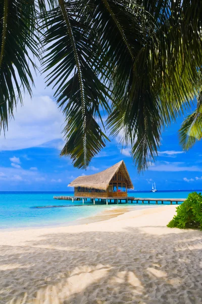 Diving Club Tropical Island Travel Background — Stok fotoğraf