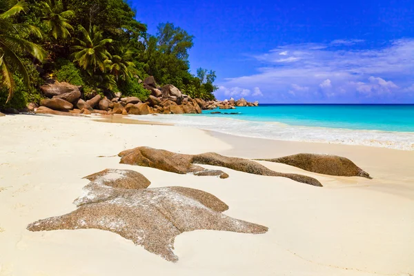 stock image Tropical beach at island Praslin, Seychelles