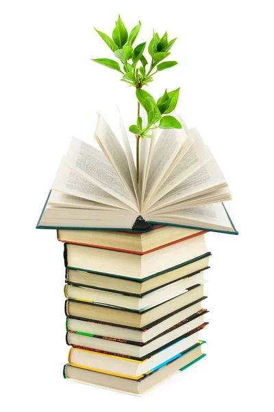 Bücher und Pflanzen — Stockfoto