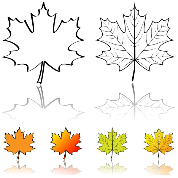 Vector shapes of maple leaf — Stock Vector