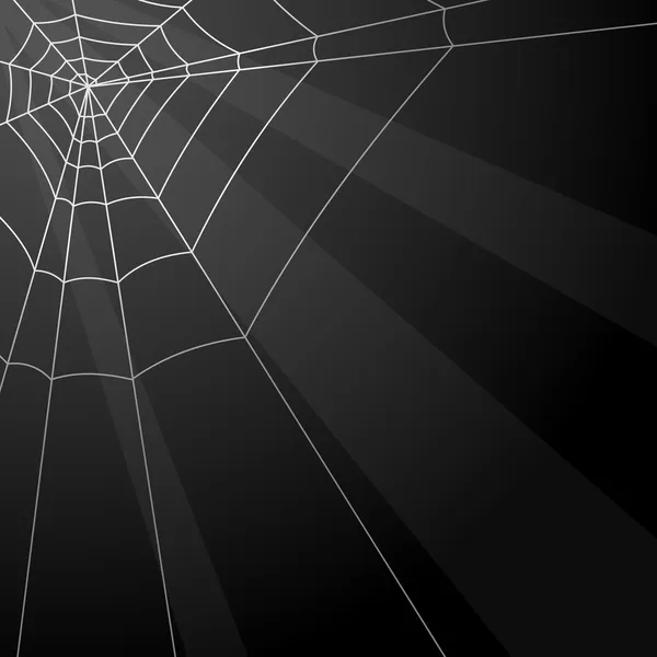 Spinnennetzhintergrund — Stockvektor