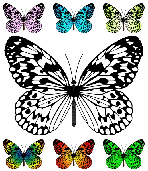 Schmetterlingsvektorschablone — Stockvektor