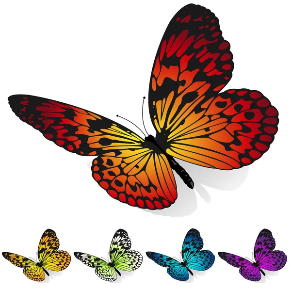 Papillons colorés — Image vectorielle