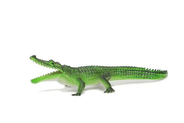 Aligátor, zelený krokodýl — Stock fotografie