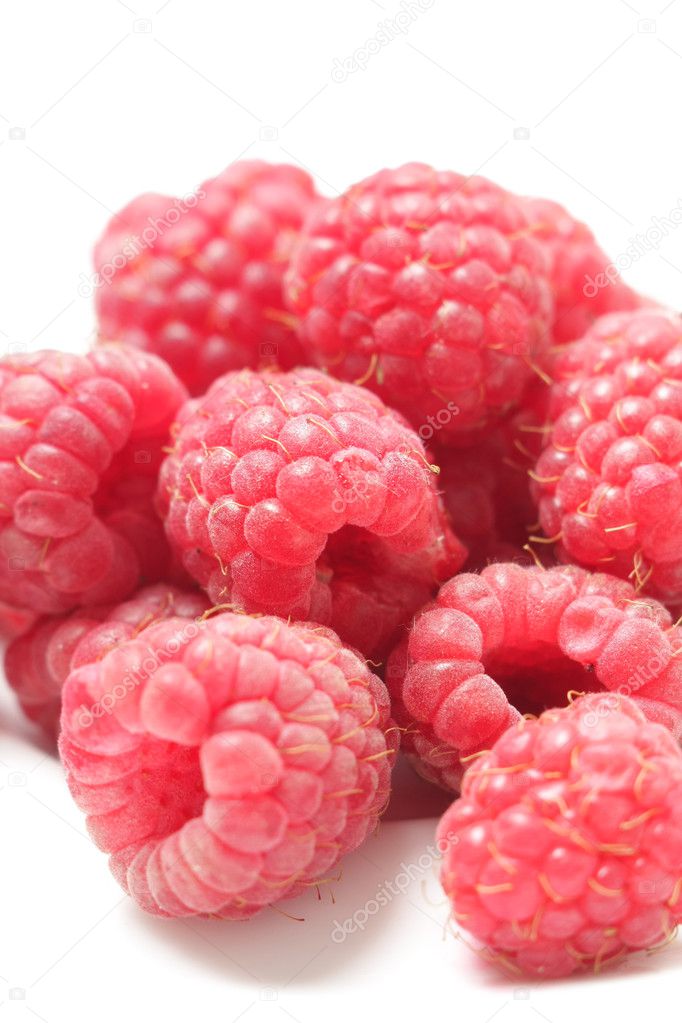 red raspberry |图库照片08viktor prymachenko#3377407