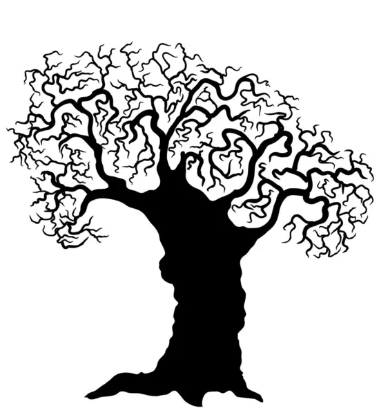 Tree. — Stock Photo, Image