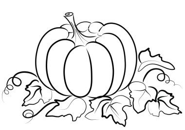 Pumpkin on white. clipart