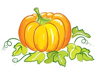 Pumpkin on white. clipart