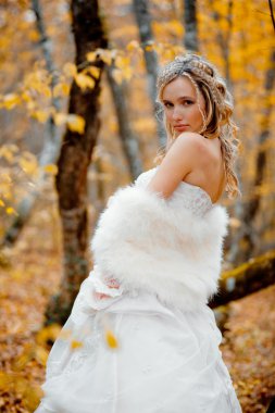 Bride in autumn clipart