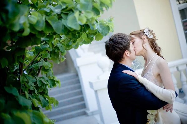 Bacio sposa e sposo — Foto Stock