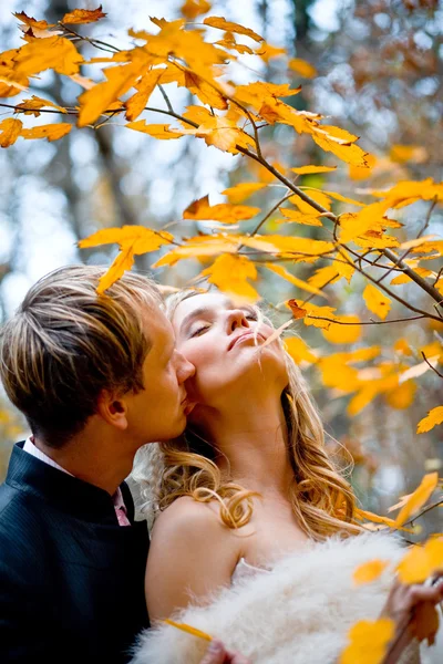 Kyssa bruden och brudgummen — Stockfoto