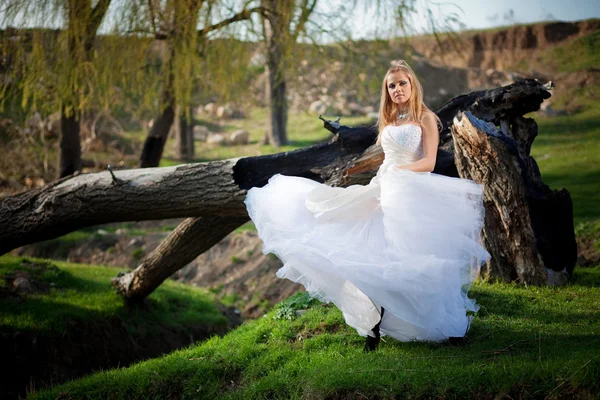 Sposa boscaglia — Foto Stock