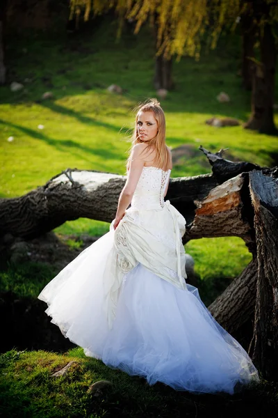 Woodland bride — Stock Photo, Image