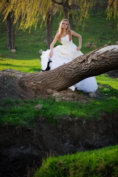 Woodland bride — Stock Photo, Image